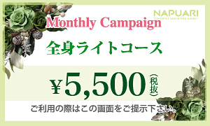 全身ライトコース