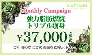 強力脂肪燃焼