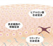 働き4